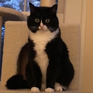 Meet your Posher, Susan